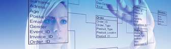 Technology Procurement in St. Louis, Missouri
